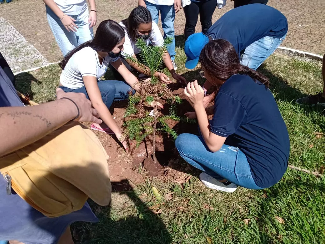 Educação Ambiental